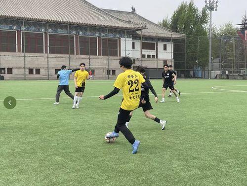 瓜在体育圈是什么意思,揭秘体育界的神秘网络用语