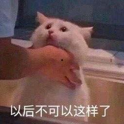 今日吃瓜-热心的朝阳群众吃瓜