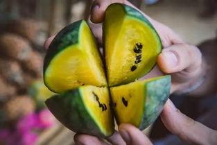 朝阳号外官网免费吃瓜,免费吃瓜盛宴，畅享夏日清凉！