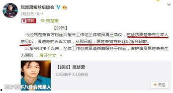 黑料网站永久免费看视频,永久免费畅享视频的奥秘